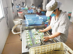 區域優勢轉化為發展動能 四川打造一批商貿物流特色鎮，食品經營煥發新活力